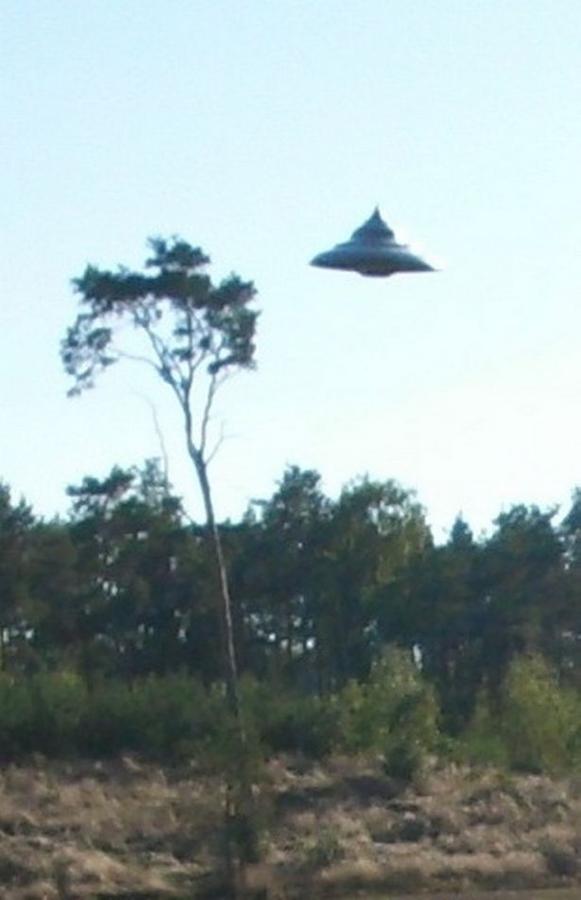 0_PAY-UFO_Woods_Poland_TRIANGLENEWS_11JPG.jpg