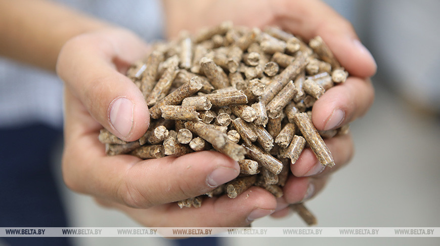 Новые пеллетные заводы в октябре отгрузили топливные гранулы более чем на 1,1 миллиона евро